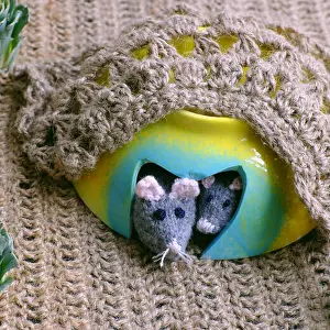 Burlap Prints: Funny concept for rat year, couple mouse animal warm in mice cave that recycle from broken bowl on burlap background