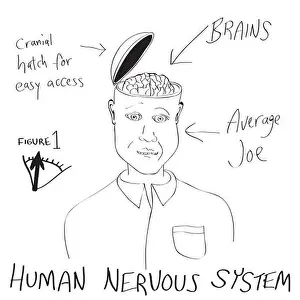 Ability Prints: Funny Human Brain Cartoon