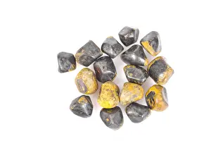Gall Prints: Gall stones, biliary calculi