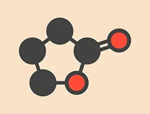 Skeletal Prints: Gamma-butyrolactone (GBL) solvent molecule