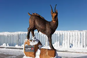 Wintery Prints: Gams sculpture by Mario Gasser at the summit of Zugspitze Mountain