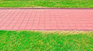 Red Street Prints: Garden stone path with grass, Brick Sidewalk