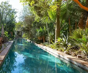 Maroc Prints: Garden and swimming pool, Dar al Hossoun hotel