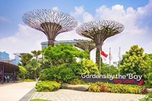 Images Dated 5th September 2015: Gardens by the Bay in Singapore