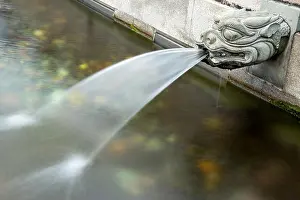 Gargoyle Prints: Gargoyle in the fountain