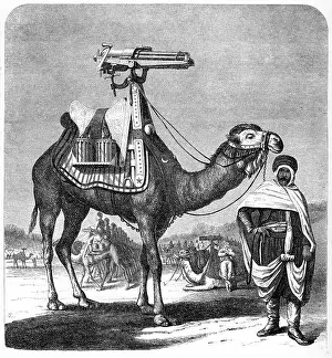 Gatling rapid fire gun (1861-62): Camel-mounted model. From The Science Record New York, 1862. Engraving
