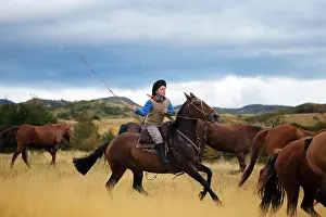 25 29 Years Prints: Gaucho on his horse, rounding up wild horses.Patagonia.Chile