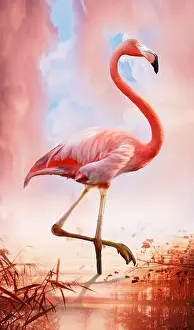 Flamingo Prints: Gentle and romantic flamingo, realistic drawing of a beloved bird