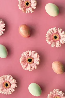 Flatlay Prints: Geometrid diagonal Easter flat lay in coral color with painted eggs and gerbera daisy flowers