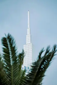 Focus On Background Prints: Georgia, Adjara, Batumi, Palm tree against Batumi Technological University Tower