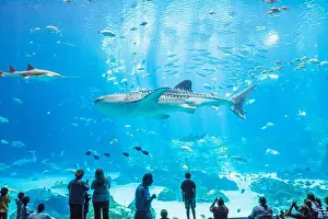 Atlanta Georgia Prints: Georgia Atlanta Pemberton Place Georgia Aquarium inside interior