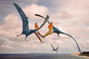 Snout Prints: Two Geosternbergia pterosaurs fighting over small fish