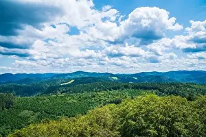 Germany, Aerial panorama nature landscape drone view above schwarzwald tree tops