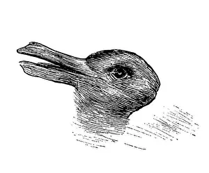 Trick Prints: Germany: Duck-Rabbit optical illusion