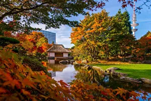Japanese Garden Prints: Germany, Hamburg, Park, park, Planten un Blomen, autumn