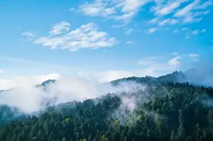Baden Prints: Germany, panorama schwarzwald forest nature landscape baden freiburg im breisgau misty foggy atmosphere sunrise aerial