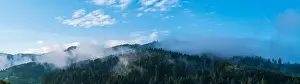 Germany, XXL panorama schwarzwald forest nature landscape baden near freiburg im breisgau in misty foggy atmosphere