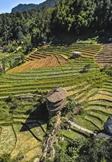 Stay Prints: Giant Bamboo Hut in Doi Inthanon national park in Chiang Mai, Thailand