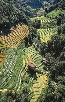 Stay Prints: Giant Bamboo Hut in Doi Inthanon national park in Chiang Mai, Thailand