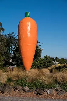 Big Blue Prints: Giant carrott welcomes visitors to the town of Ohakune in New zealand