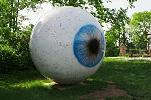 St Louis Prints: Giant Eye