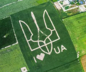 Bird Flight Prints: Giant symbol of the country of Ukraine is a trident created by corn sprouts in a corn field