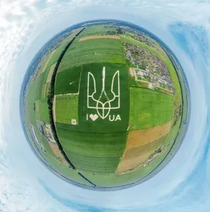 Bird Flight Prints: Giant symbol of the country of Ukraine is a trident created by corn sprouts in a corn field