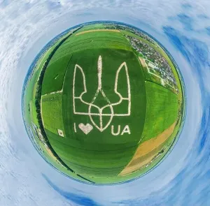 Bird Flight Prints: Giant symbol of the country of Ukraine is a trident created by corn sprouts in a corn field