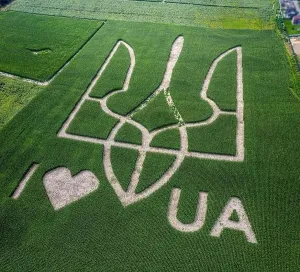 Bird Flight Prints: Giant symbol of the country of Ukraine is a trident created by corn sprouts in a corn field
