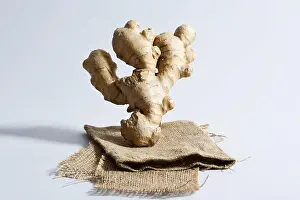 Nourishments Prints: Ginger Zingiber Officinale