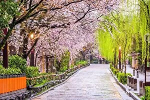 Images Dated 7th April 2017: Gion Shirakawa, Kyoto, Japan in spring