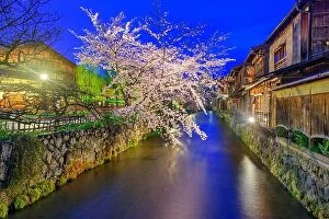 Images Dated 7th April 2017: Gion Shirakawa, Kyoto, Japan in spring