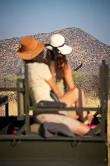 Namibia Prints: Giraffe watches two women sitting in jeep