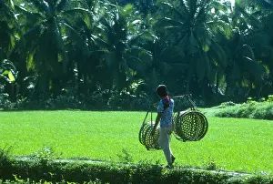 Agricultural Land Prints: Girl carrying fishing baskets Mekong Delta Vietnam
