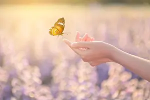 Rebirth Prints: The girl frees the butterfly from the jar, golden blue moment Concept of freedom
