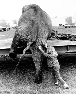 Comical Prints: Girl pushes elephant, England, Great Britain