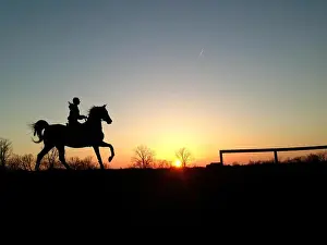 Kentucky Prints: Girl riding saddlebred horse in sunset