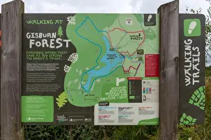 Directions Prints: Gisburn Forest. Forrest of Bowland