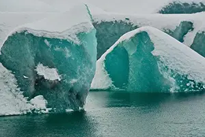 Ice Cap Prints: Glacial icebergs with intricate textures floating in cold arctic waters