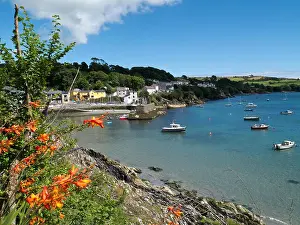 Secluded Prints: Glandore harbour