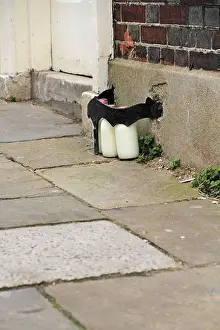 Lewes Prints: Glass bottles of delivered fresh milk on the street outside the front door of a house in Lewes