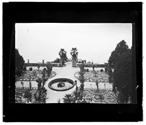 Canary Islands Prints: A glass plate photograph records a cultivated garden with palm trees beside water in the Canary Islands