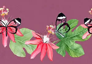 Airy Prints: Glasswing butterfly, passionflower