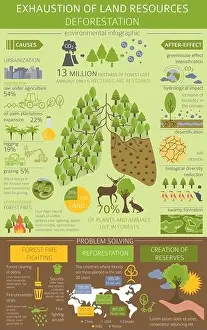 Oil Palm Prints: Global environmental problems. Exhaustion of land resources infographic
