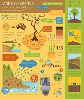 Desertification Prints: Global environmental problems. Land degradation infographic