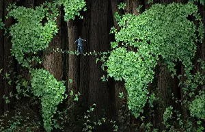 Tight Prints: Global growth risk business concept as a businessman walking on a tightrope made from plant vines in a background of