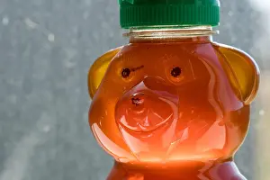 Back Lit Prints: glowing back lit honey in bear jar