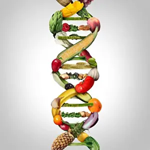 Social Issue Prints: GMO food and Genetically modified crops or engineered agriculture concept using biotechnology