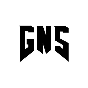 Minimalist Logo Prints: GNS letter logo design for technology company