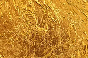 Gold Leaf Prints: Gold leaf